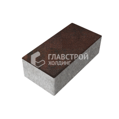 Тротуарная плитка 240х120х70, клинкер