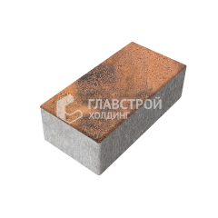 Тротуарная плитка 240х120х70, сомон