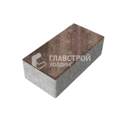 Тротуарная плитка 240х120х70, яшма