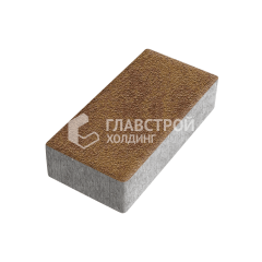 Тротуарная плитка 200х100х100, листопад на камне